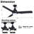 Kamy 52'' Ceiling Fan with LED Lights