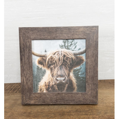 Highland Cow Bétail, art encadré sur papier