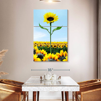 Tournesol au-dessus des tournesols