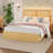 Queen Size Rattan Bed Frame with 4 Storage Drawer, Boho Style Rattan Bed with LED Light & Natural Headboard, Sturdy Wooden Slats Support, No Box Spring Needed, Easy Assembly