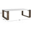 Egan Single Coffee Table-2098386742