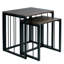 2 Piece Nest of Tables