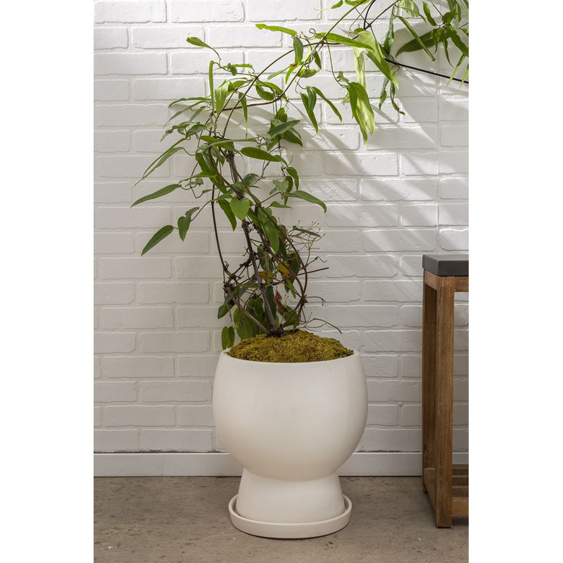 Goodlow Handmade Ceramic Pot Planter, 15" H x 14" W x 12" D