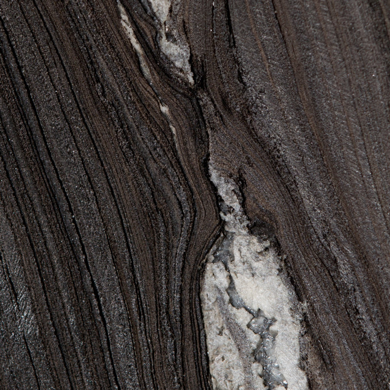 Linden Abstract Decorative Object