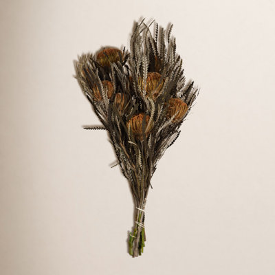 Vickerman Banksia Stems