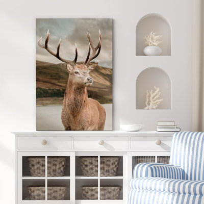 Animaux cerf majestueux avec bois de cerf Highland