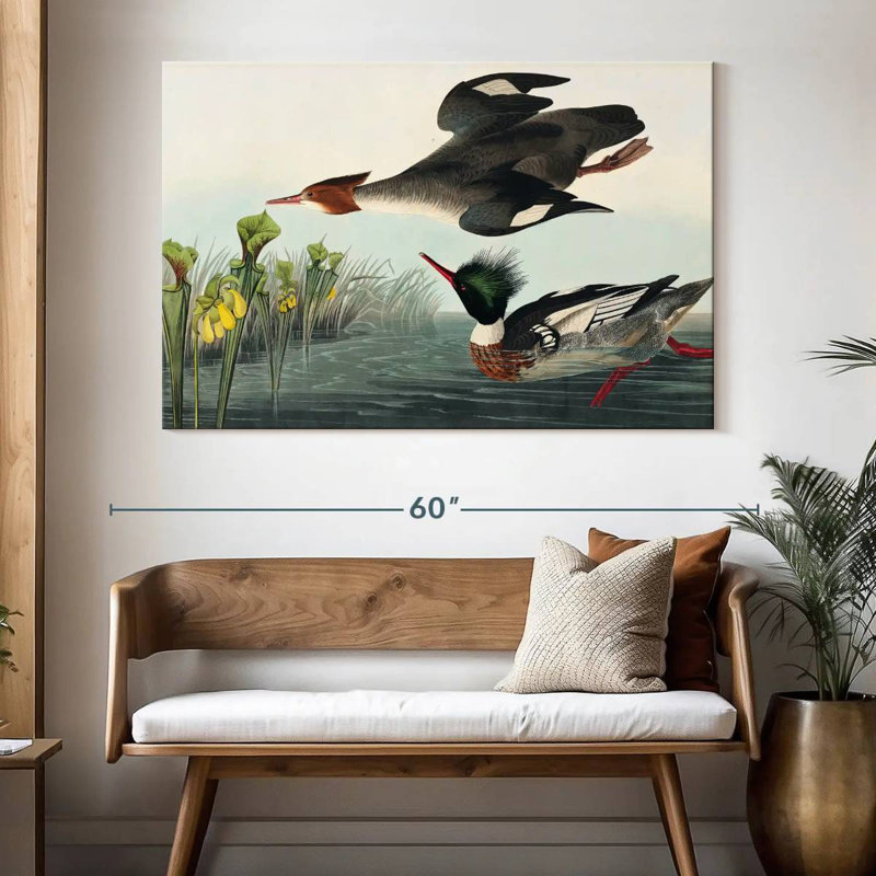 Brampt Red Breasted Merganser, 34" H x 51" W