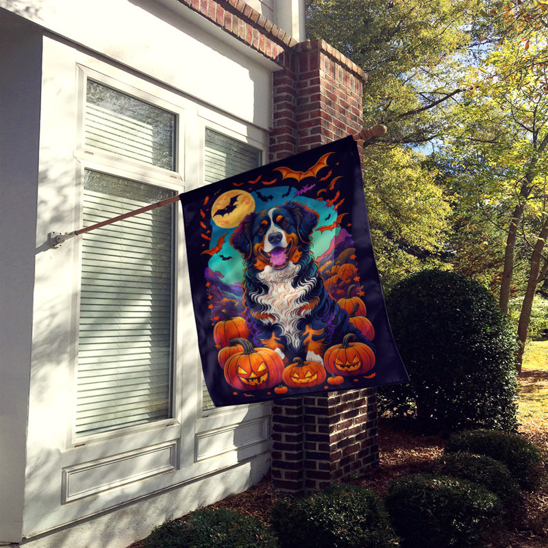 Jamaurion Double Sided Polyester Halloween Garden Flag, 40" x 28"