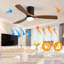 Ventilateur de plafond 52 pouces avec lumières et 3 pales en bois massif