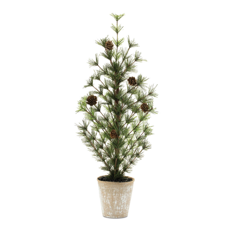 Mini pin en pot H 24 po