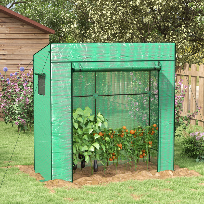 Britnie 6.5 Ft W x 2.6 Ft D Hobby Greenhouse, Green