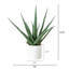 17,5 po Agave artificiel