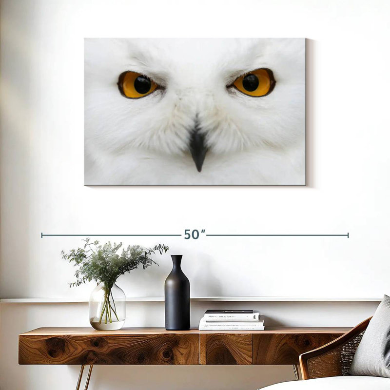 Brampt yeux de chouette des neiges, H 24 po x l 36 po