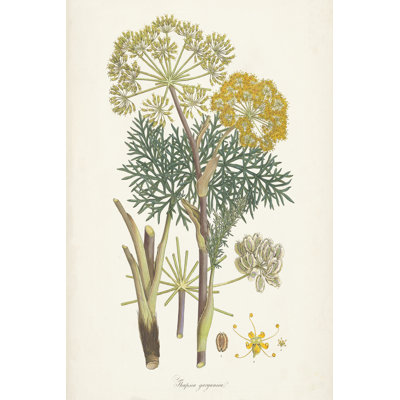 Saffron Botanicals I - peinture sur toile tendue