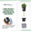 Canto Pot Planter-36478254