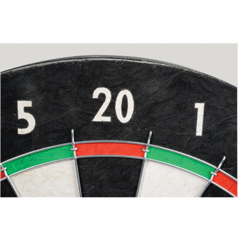 Franklin Sports 18" Black and White Bristle Dartboard