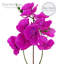 Faux Silk Orchids Arrangement in Vase-64581334