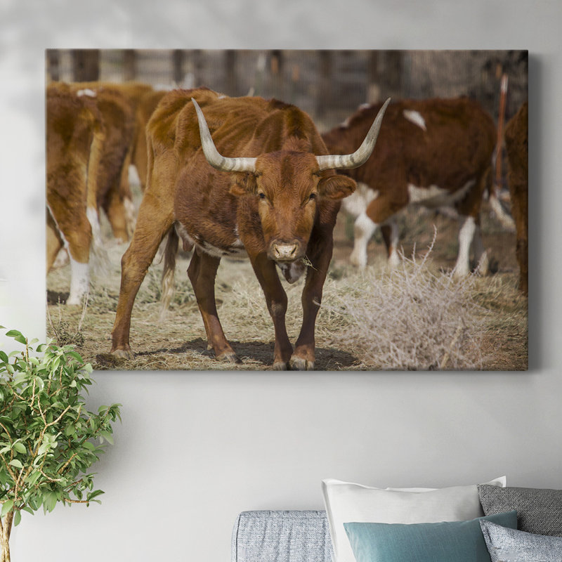 Longhorns-Toile tendue avec châssis, H 12 po x l 18 po