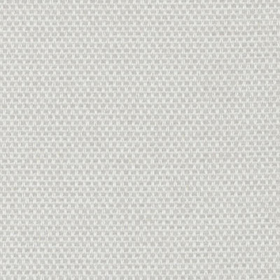 Tissu Bristol