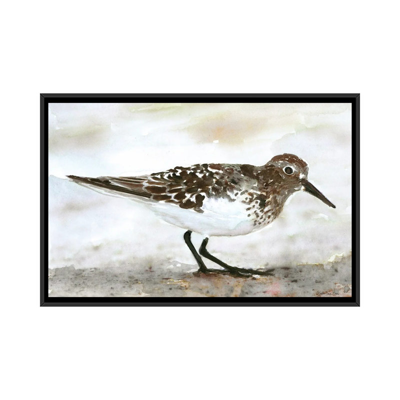 Sandpiper I by Stellar Design Studio - Painting on Canvas, 66.04 cm H x 45.72 cm W, Black Floater Frame