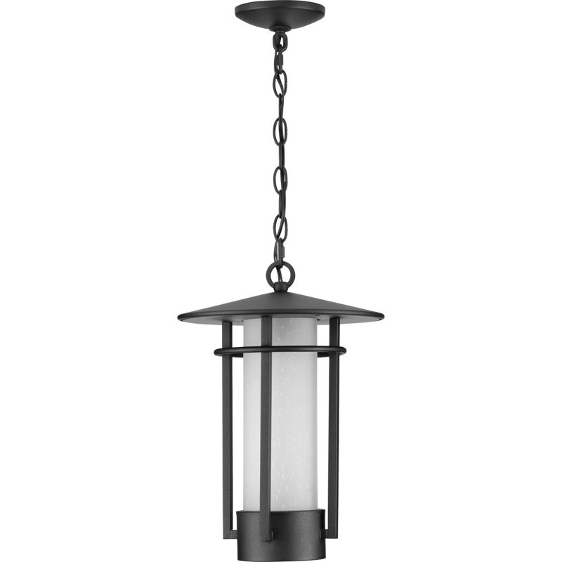 Lanterne suspendue d'extérieur 1 lumière noire H 16 po Hollman