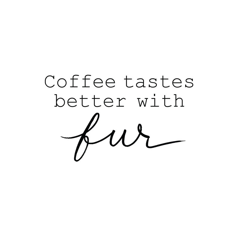 Coffee Tastes Fur - Wrapped Canvas Print, 30cm H x 30cm W