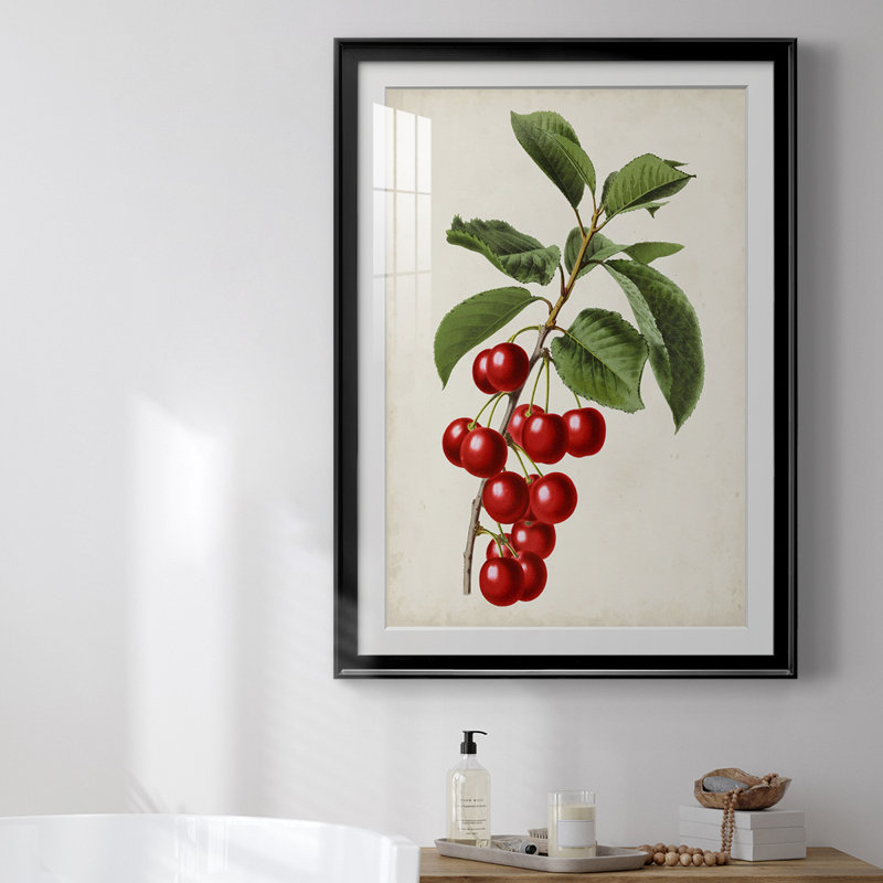 Antique Fruit II, reproduction encadrée de qualité supérieure - prête à être accrochée, Cadre noir