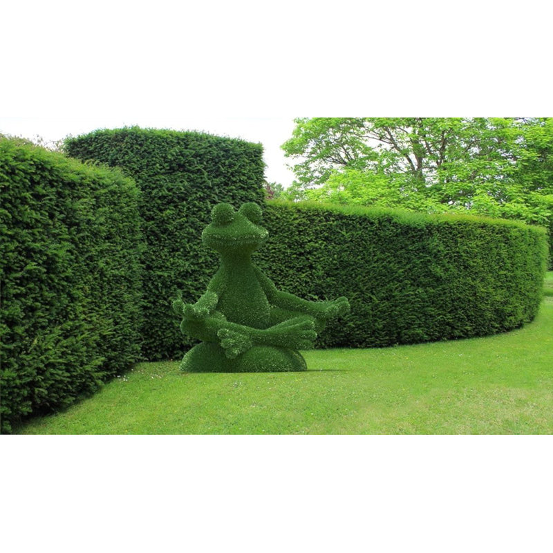 Topiaire de grenouille et de yoga assis