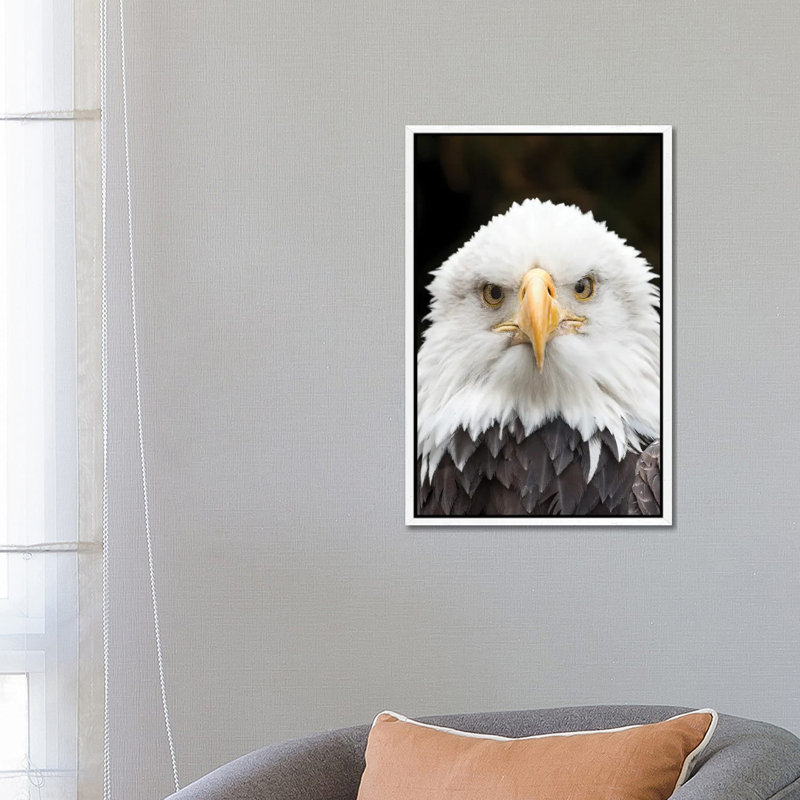 Regal Eagle by David Gardiner - Gallery-Wrapped Canvas Giclée on Canvas, White Framed, 66.04 cm H x 45.72 cm W