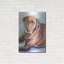 Red Barrel Studio® «Must Love Dogs Chocolate Lab» par Lindsay Kivi, art mural en métal-219753797