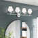 Sullivan Street 4 - Light Dimmable Vanity Light