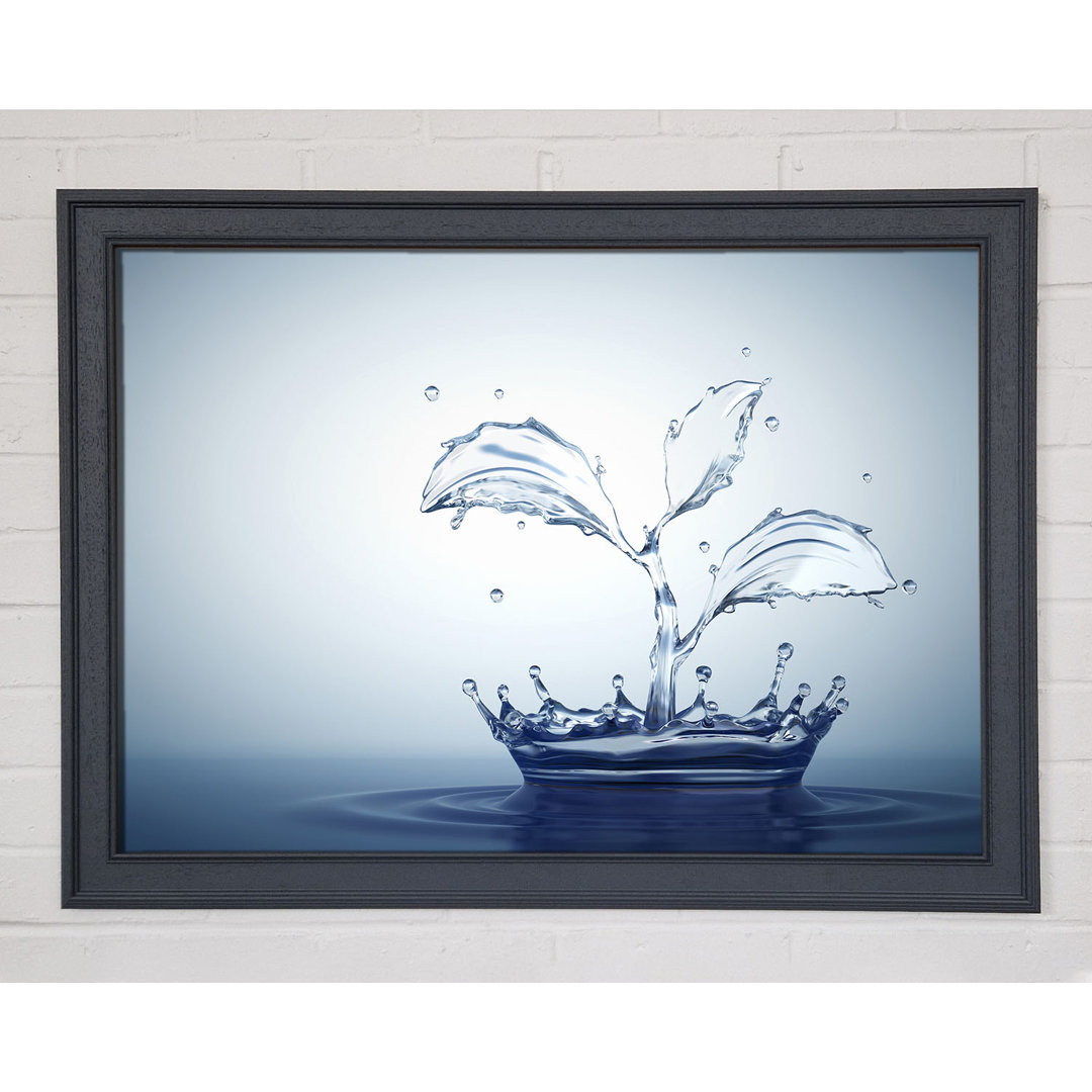 Water Splash Plant Gerahmter Druck