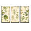 «Meadow Weeds And Herbs II», peinture sur toile 3 pièces-439365844-439365847