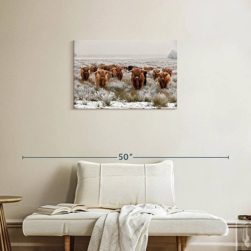 Winter Highland Cows, H 20 po x l 30 po