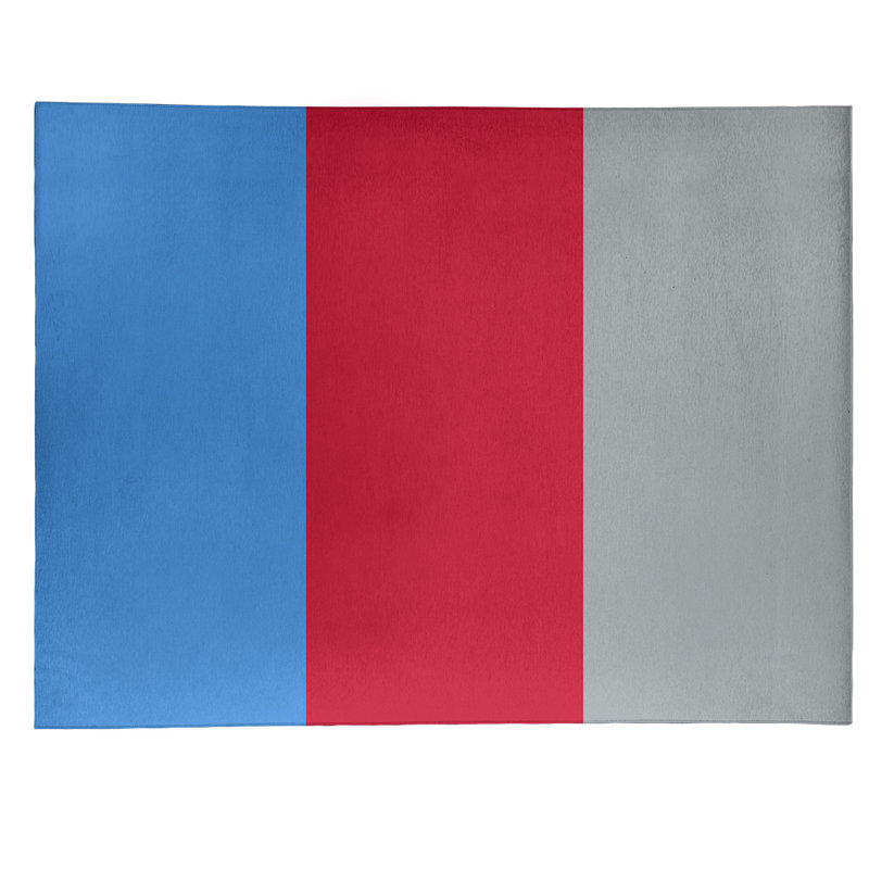 Chenille Indoor Rug, Rectangle 4' x 6'