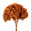 Natural Botanicals 15" Hydrangea with Multiple Branch Segments, Preserved-616070906