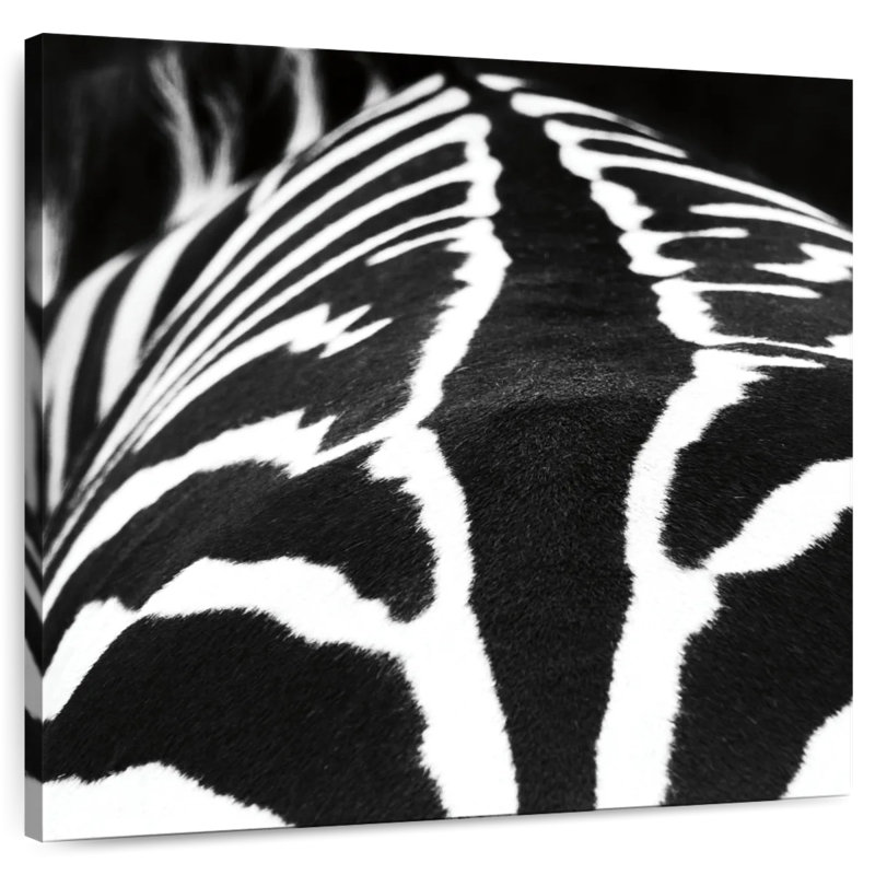 Brampt Zebra Stripes Pattern VI, 16" H x 16" W