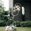 Metal Garden Arches