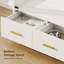 Display Cabinet-1675162303