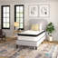 Taylor & Logan Callista 12'' Extra Firm Mattress-88697166