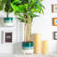 Ceramic Pot Planter-63880959
