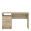 Gouge Computer Desk-38263704