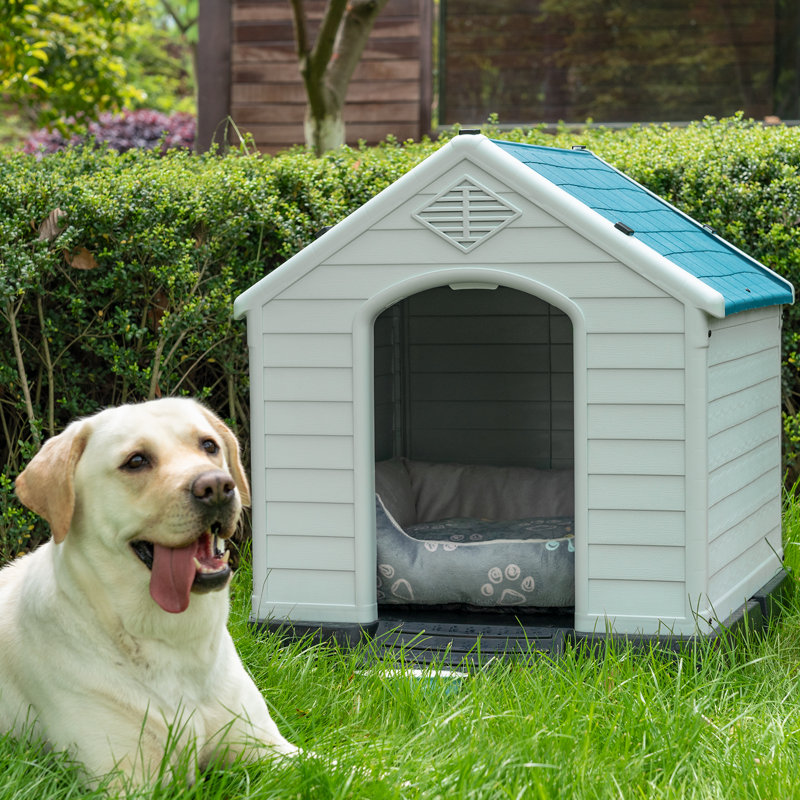 Niche pour chien isolée en plastique Deisi, Bleu, H 27,6 po x l 25 po x P 26,8 po
