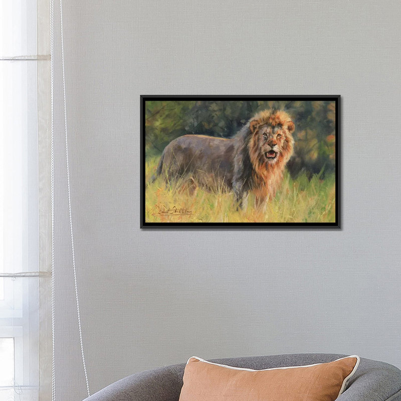 « lion evening light », impression sur toile, H 18 po x l 26 po x P 1,5 po, Toile avec cadre noir, Pas de tapis