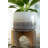 Charlack Pot Planter