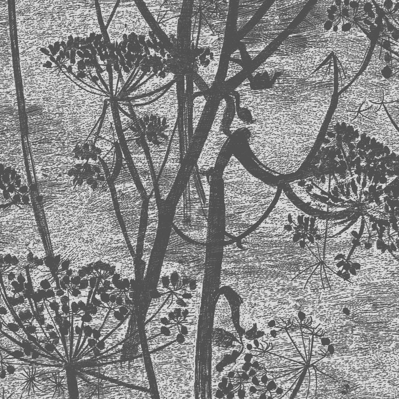 Cow Parsley Floral Wallpaper Roll, Charcoal