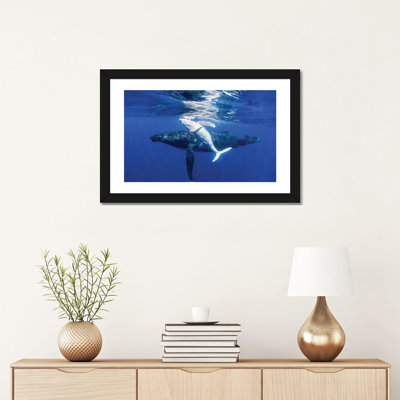 «The Dancing Whale» par Jordan Robins - reproduction d'art