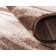 Cotati Abstract Indoor Rug