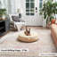Lit pour chien Buckhead-102075529-102075526