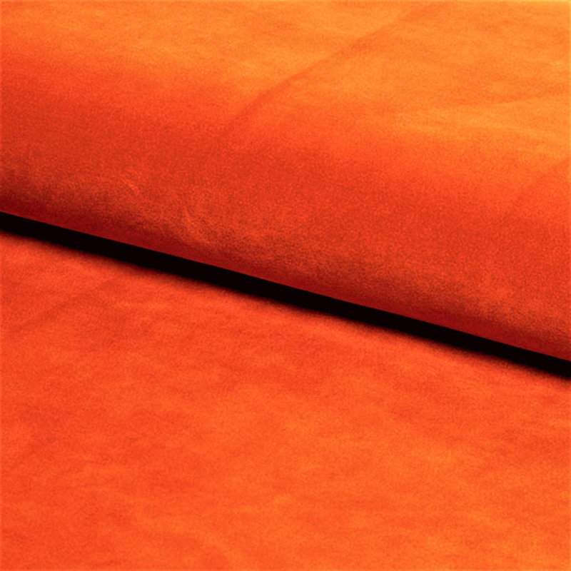 Riga Wide Velvet Tufted Rectangle Solid Color Ottoman Box with Storage, Upholstered Footstool Shoes Bench with Legs